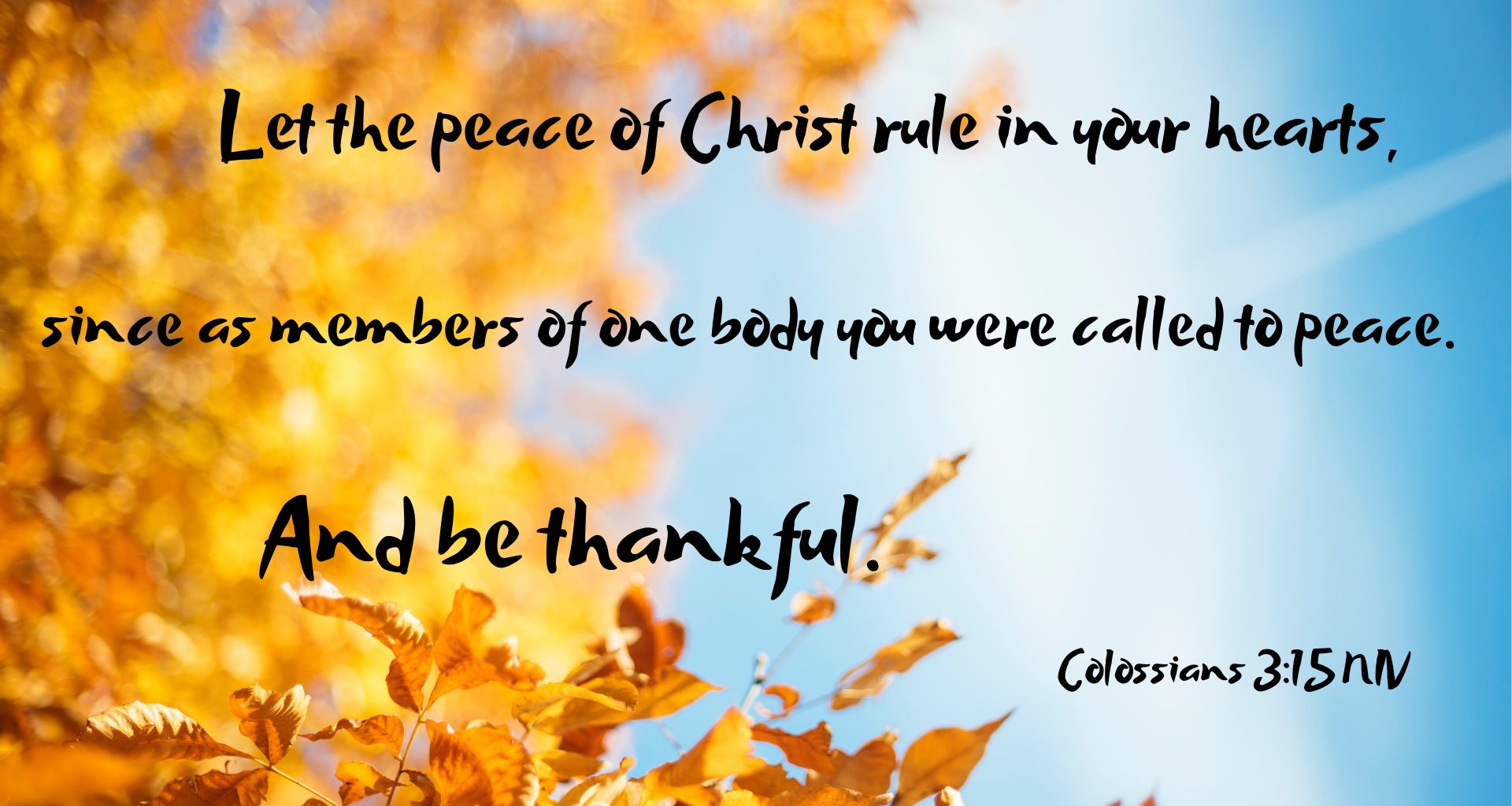 Helping Others Harvest the Blessings of Thankfulness – Called to the ...